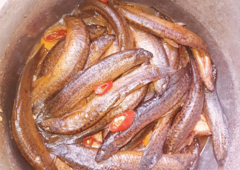 Cá trạch kho tương 